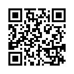 BZW04-11-B0G QRCode