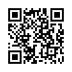 BZW04-13 QRCode