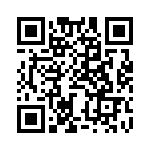 BZW04-171HR0G QRCode