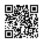 BZW04-17BHR1G QRCode