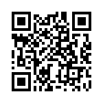 BZW04-256B-A0G QRCode