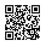 BZW04-273BHR1G QRCode