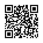 BZW04-28-R1G QRCode