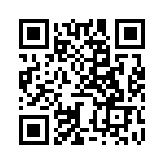 BZW04-53B-A0G QRCode