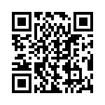 BZW04-6V4-R1G QRCode