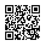 BZW04-6V4B-R1G QRCode