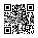 BZW04-85-R1G QRCode