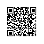 BZW04P20B-E3-54 QRCode