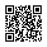 BZW06-13B-A0G QRCode