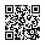 BZW06-20-B0G QRCode