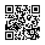 BZW06-33-B0G QRCode