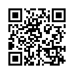 BZW06-33 QRCode