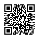 BZW50-100 QRCode