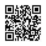 C333C393FAG5TA QRCode