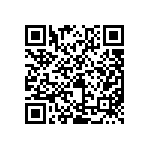 C4SMG-BJS-CS24Q4T1 QRCode