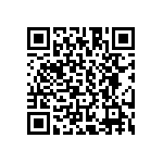 CA3102E24A24PB04 QRCode