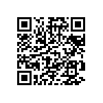 CA3106E20A9PYBF80 QRCode