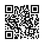 CB2518T100M QRCode