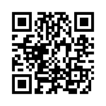 CF1JT33K0 QRCode