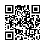 CQ202-4DS-2 QRCode