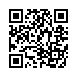 CRB2A4E3R0JT QRCode