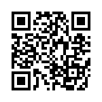 CRB3A4E333JT QRCode