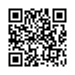 CRG0402F13K QRCode