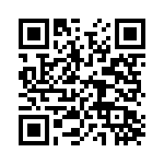 CS341202 QRCode