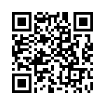 CT3134-S-4 QRCode