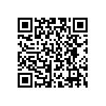 CW0102R500JE733 QRCode