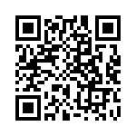 CW0103R300KE12 QRCode