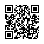 CW0104R300KE12 QRCode