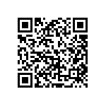 D38999-24WG11SE QRCode