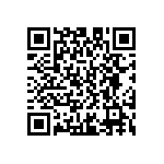 D55342E07B10E0PWS QRCode