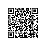 D55342E07B10E0RTP QRCode