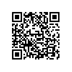 D55342E07B124DPWS QRCode