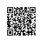 D55342E07B132BRWS QRCode