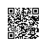 D55342E07B133ERWS QRCode