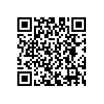 D55342E07B145BRWS QRCode