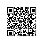 D55342E07B20B0RTP QRCode