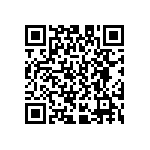 D55342E07B221BCWS QRCode