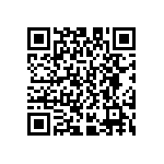 D55342E07B221BRWS QRCode