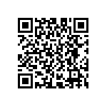 D55342E07B243ERWS QRCode