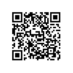 D55342E07B255ERWS QRCode