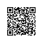 D55342E07B261ERWS QRCode