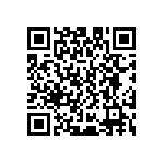 D55342E07B280ERWS QRCode