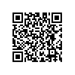 D55342E07B2B55RTP QRCode