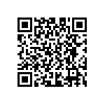 D55342E07B300ARWS QRCode