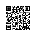 D55342E07B309BRWS QRCode