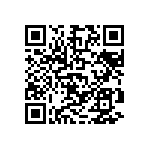 D55342E07B309ERWS QRCode